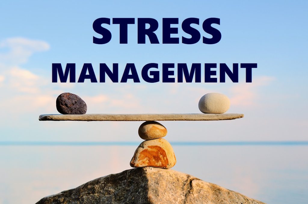 Micro-Breaks in Vancouver: The Smallest Habit with the Biggest Stress Relief