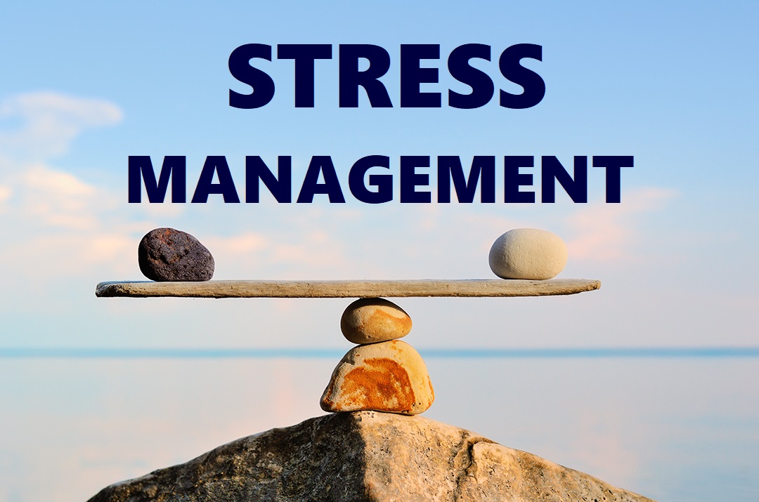 Micro-Breaks in Vancouver: The Smallest Habit with the Biggest Stress Relief