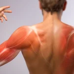 Delayed Onset Muscle Soreness— What It Is and What to Do About It